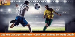 Các Kèo Cá Cược Thể Thao