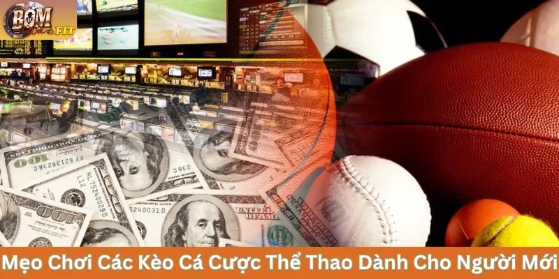 Mẹo chơi các kèo cá cược thể thao dành cho người mới